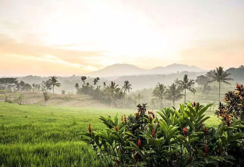 酒店 Ijen Resort And Villas The Hidden Paradise