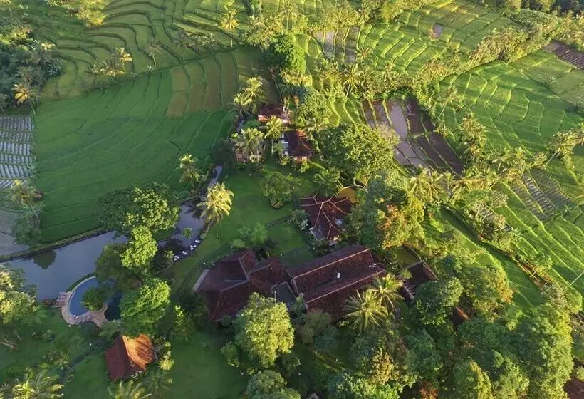 酒店 Ijen Resort And Villas The Hidden Paradise