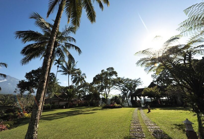 Hotel Ijen Resort And Villas The Hidden Paradise