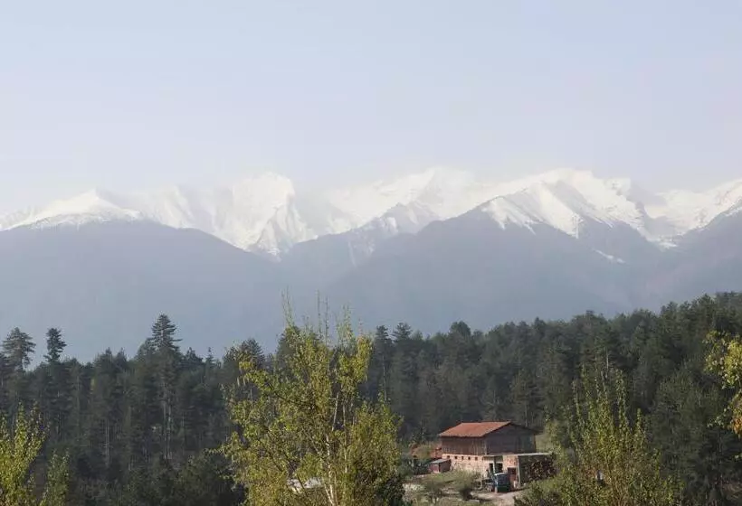 בית מלון כפרי Katarino Spa