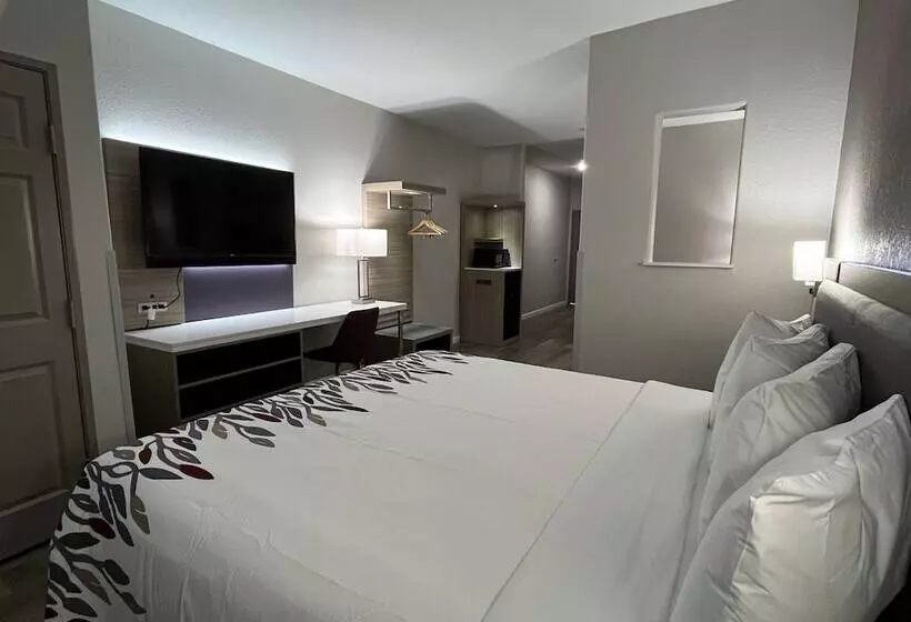 Hotel Red Roof Plus+ San Antonio Northeast