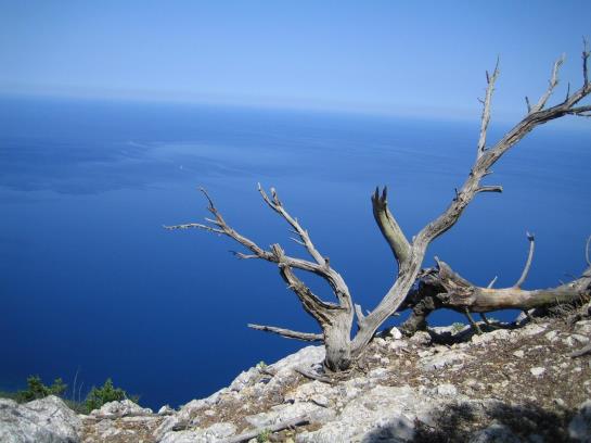 هتل روستایی Agroturisme Perola Only Adults