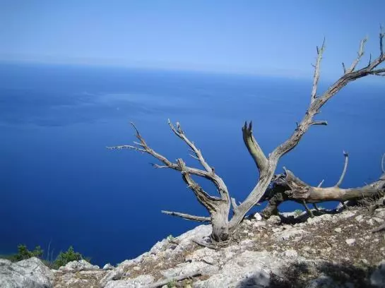 乡村酒店  Agroturisme Perola   Only Adults