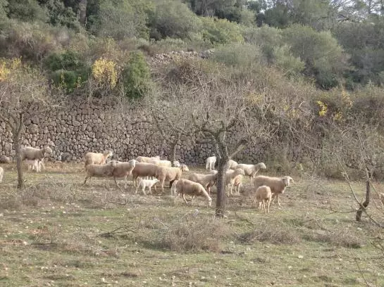 乡村酒店  Agroturisme Perola   Only Adults