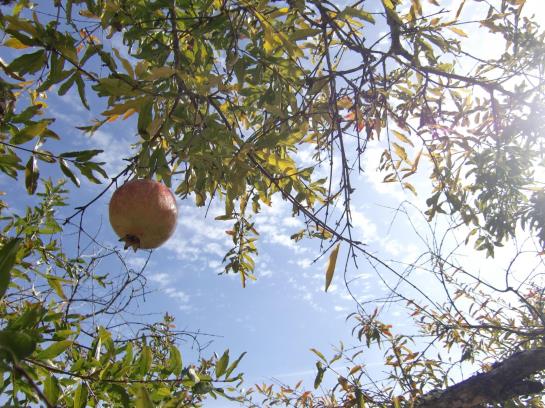 هتل روستایی Agroturisme Perola Only Adults