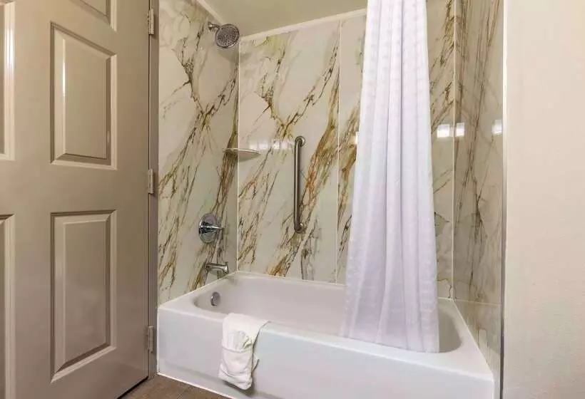 هتل Wingate By Wyndham Lafayette Airport