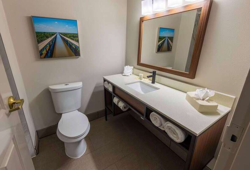 Hotel Wingate By Wyndham Lafayette Airport