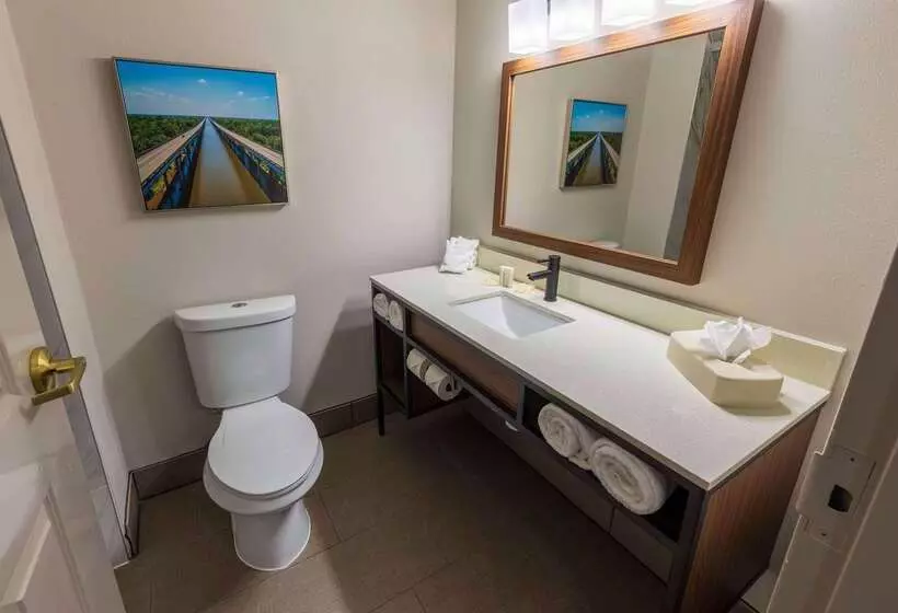 هتل Wingate By Wyndham Lafayette Airport