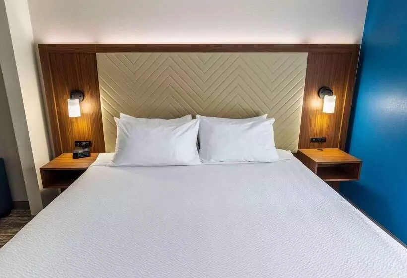 هتل Wingate By Wyndham Lafayette Airport