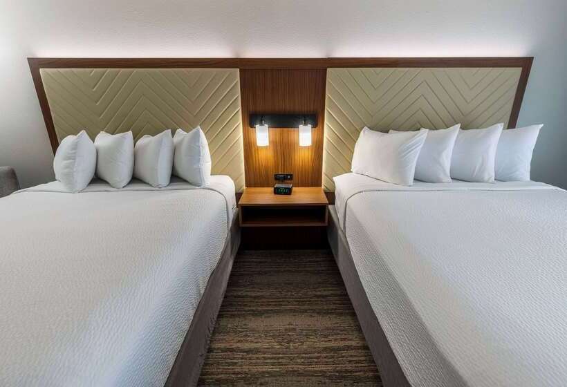 Hotel Wingate By Wyndham Lafayette Airport