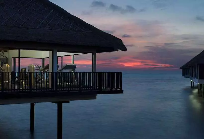 منتجع Golden Palm Tree Malaysia