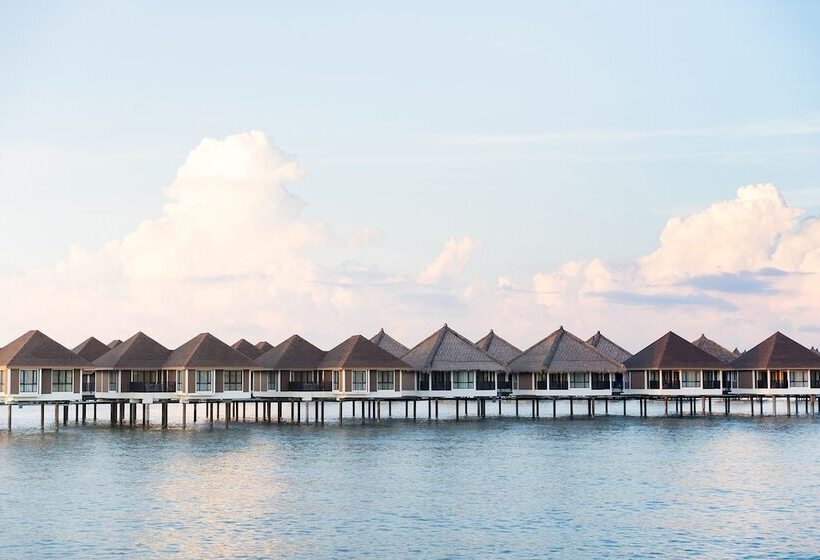 리조트 Golden Palm Tree Malaysia