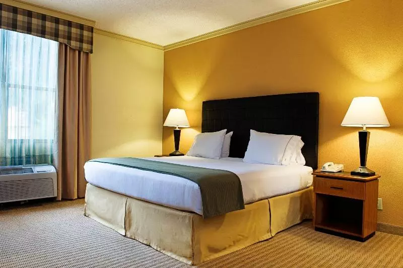 Holiday Inn Express Hotel & Suites Irving Dfw Airport North, An Ihg