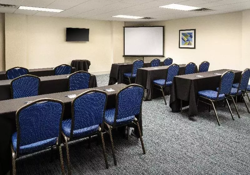 Holiday Inn Express Hotel & Suites Irving Dfw Airport North, An Ihg
