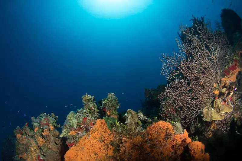 Holiday Inn Resort Grand Cayman, An Ihg