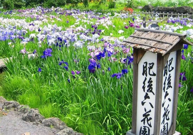 Kamenoi Hotel Aso Park Resort