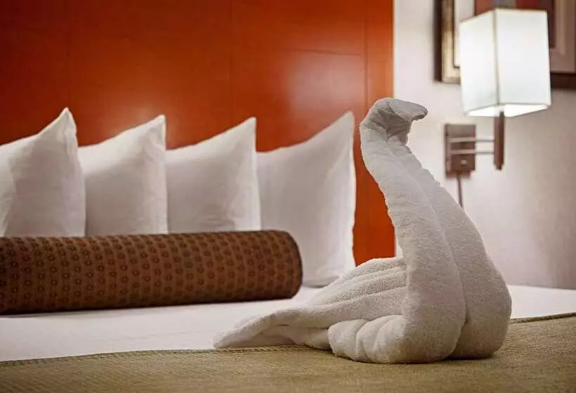 فندق Best Western Jfk Airport