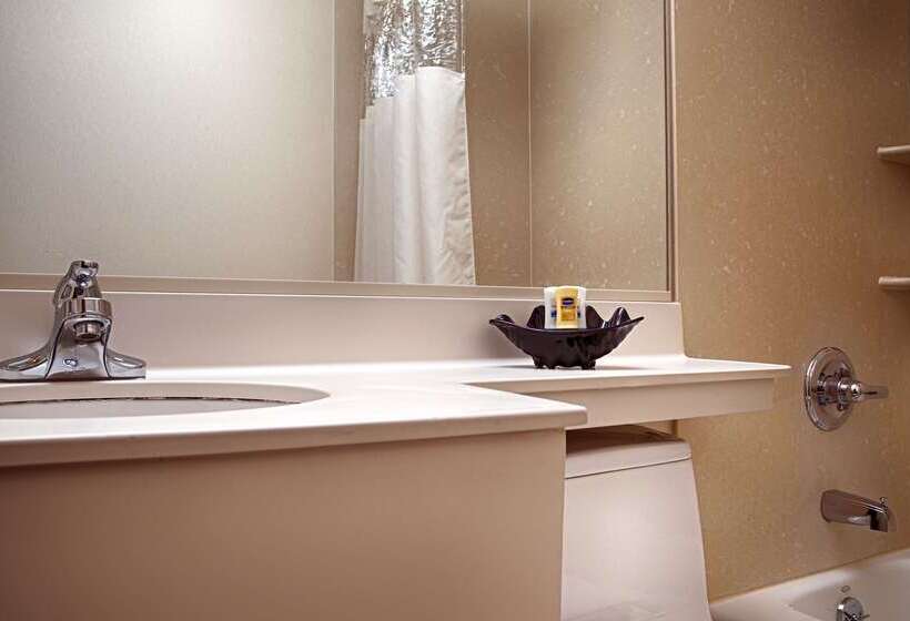 فندق Best Western Jfk Airport