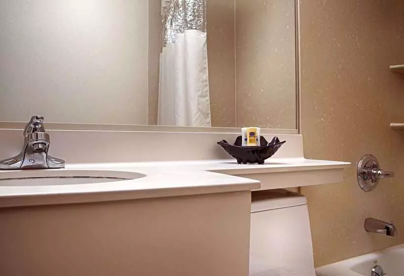 فندق Best Western Jfk Airport