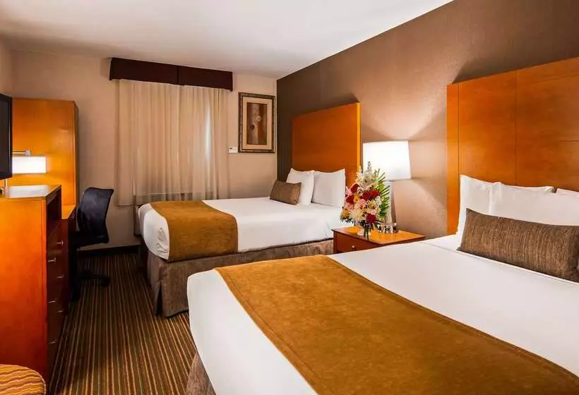 فندق Best Western Jfk Airport