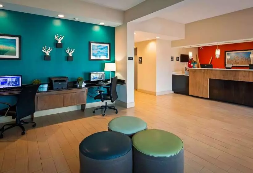 فندق Best Western Wesley Chapel