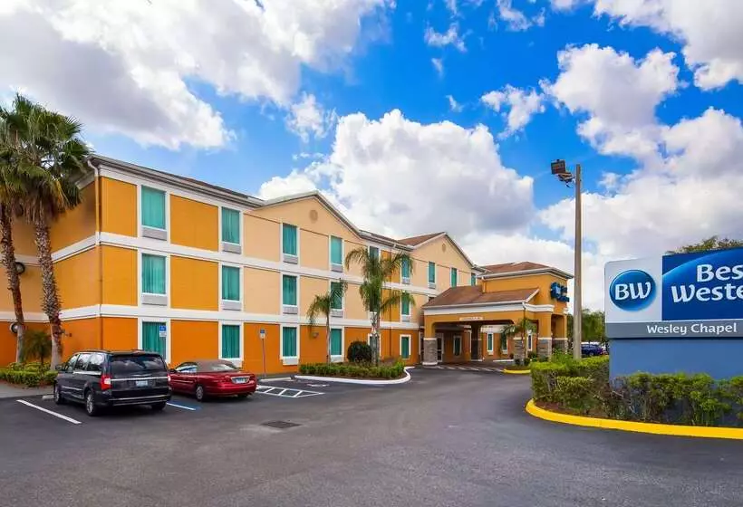 فندق Best Western Wesley Chapel