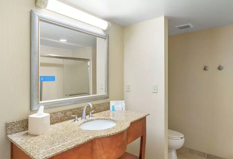 酒店 Hampton Inn & Suites North Conway