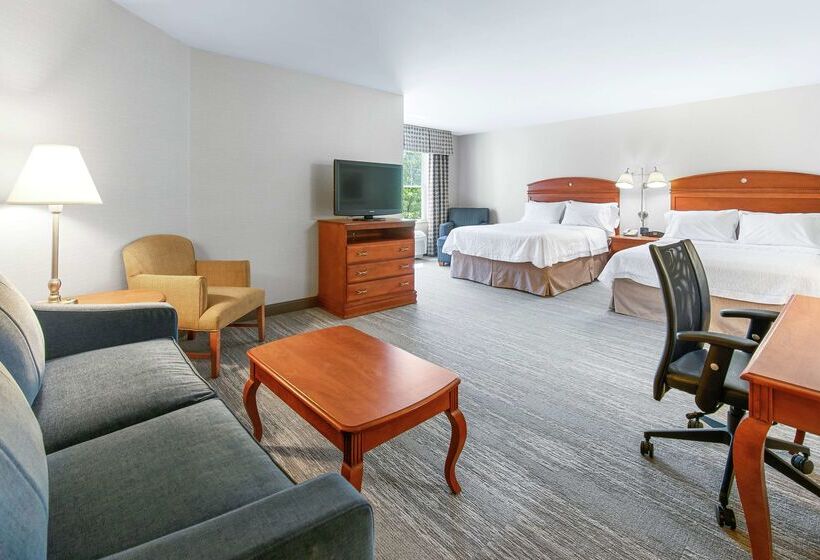 فندق Hampton Inn & Suites North Conway