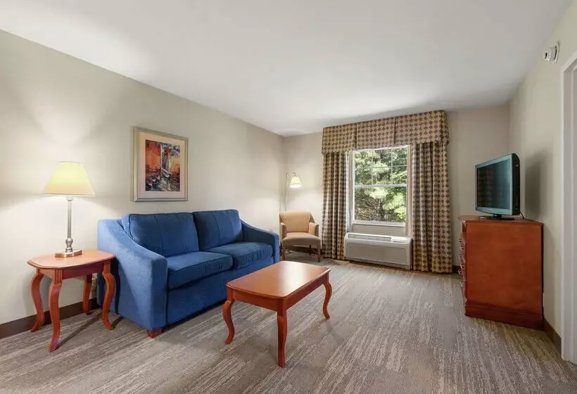 酒店 Hampton Inn & Suites North Conway