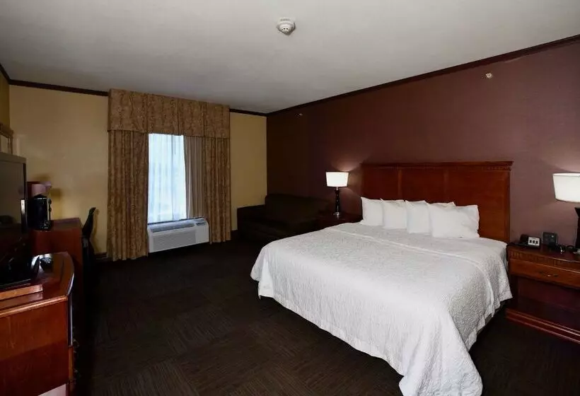 Отель Hampton Inn Seguin