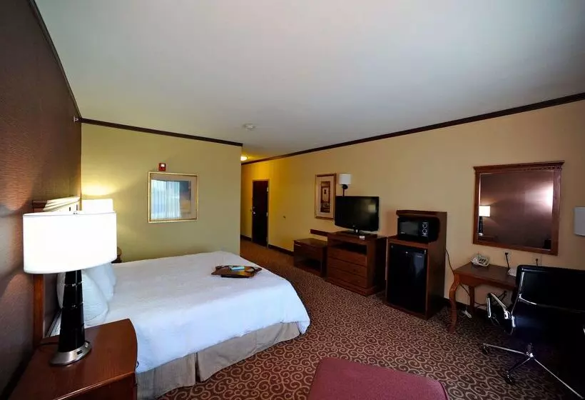 Отель Hampton Inn Seguin