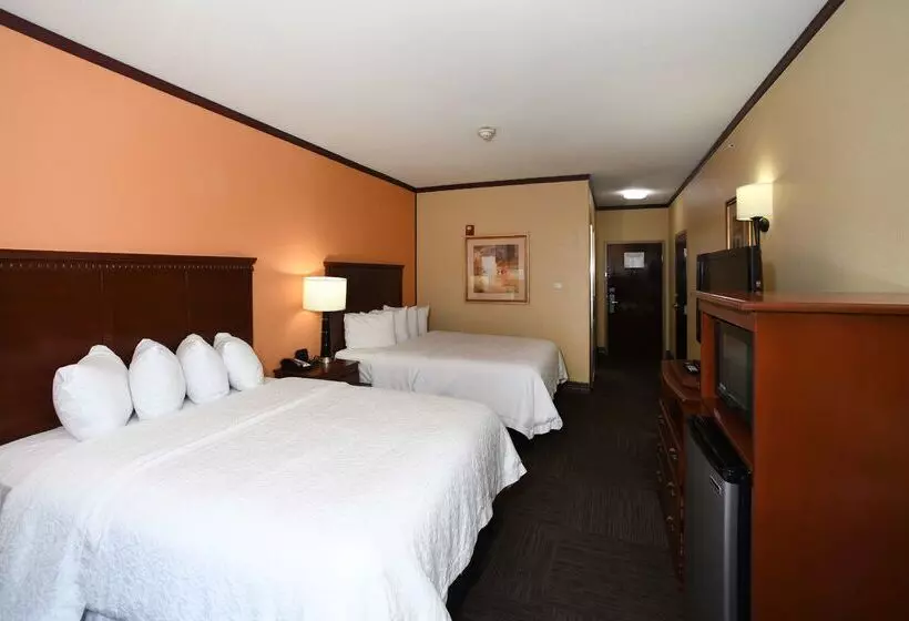 Отель Hampton Inn Seguin