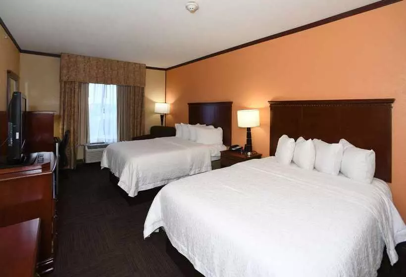 Отель Hampton Inn Seguin