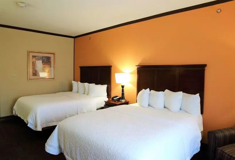 Отель Hampton Inn Seguin