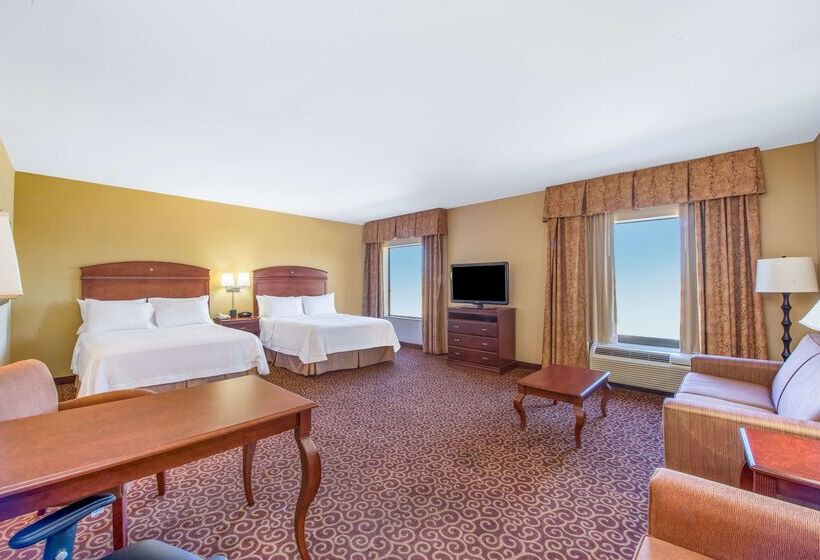 Szálloda Hampton Inn & Suites Oklahoma City South