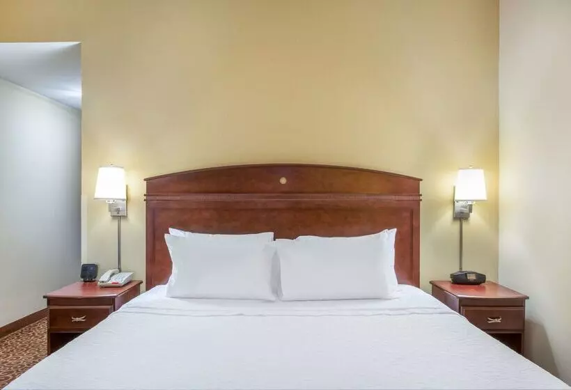 Отель Hampton Inn & Suites Oklahoma City South