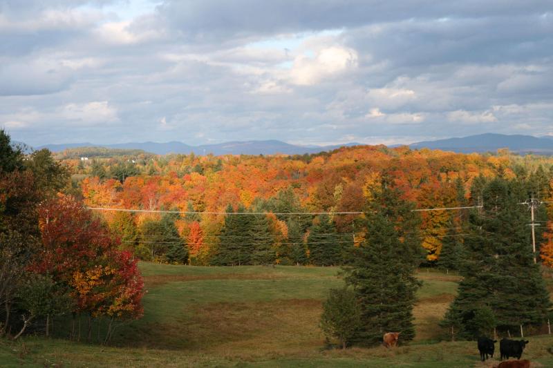 ホテル Hampton Inn White River Junction