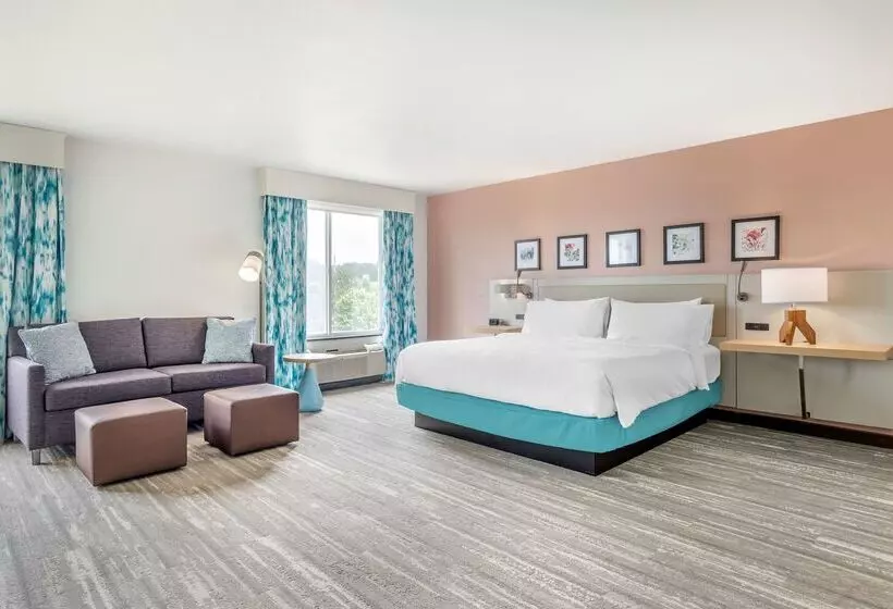 ホテル Hilton Garden Inn Atlanta Ne/gwinnett Sugarloaf