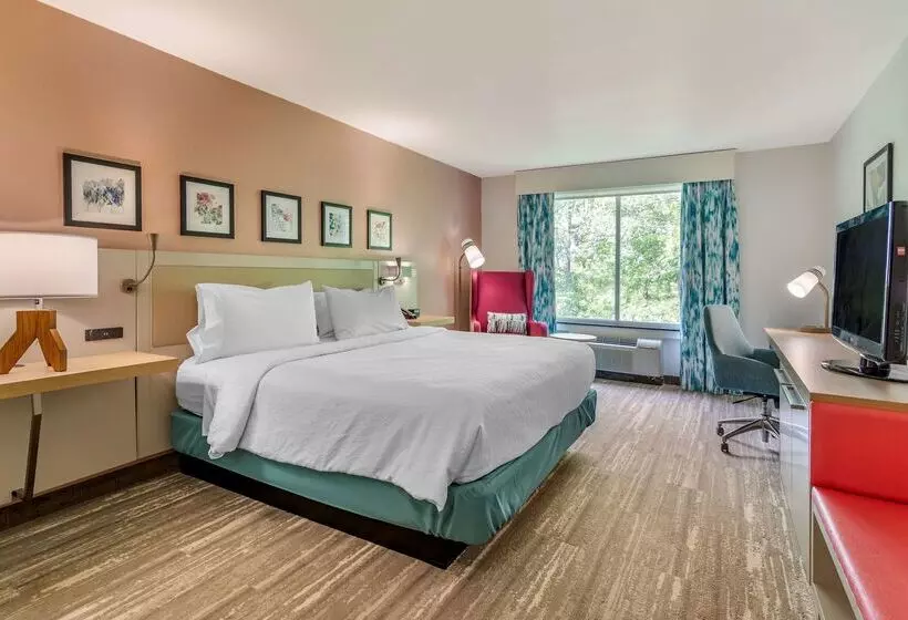 ホテル Hilton Garden Inn Atlanta Ne/gwinnett Sugarloaf