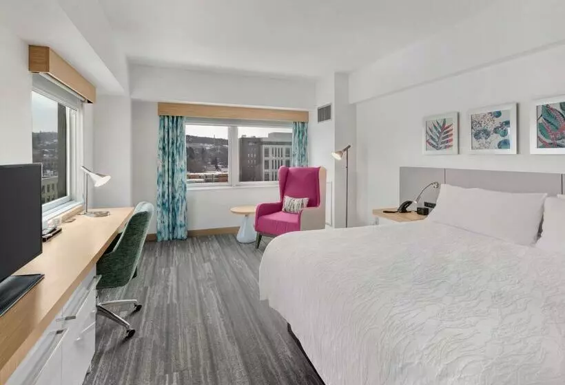 هتل Hilton Garden Inn Ithaca