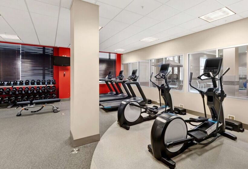 בית מלון כפרי Hilton Garden Inn Ithaca