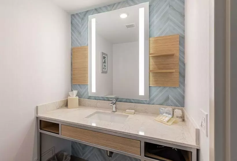 هتل Hilton Garden Inn Ithaca