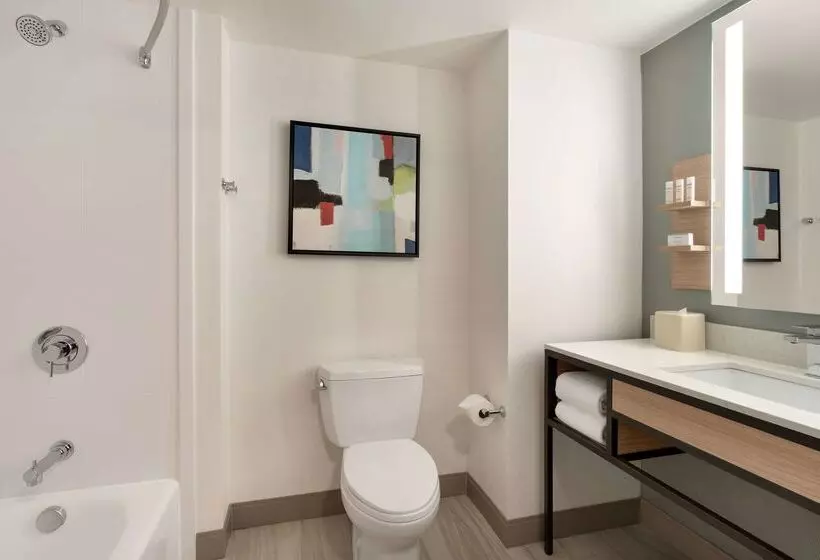 בית מלון כפרי Hilton Garden Inn Tysons Corner