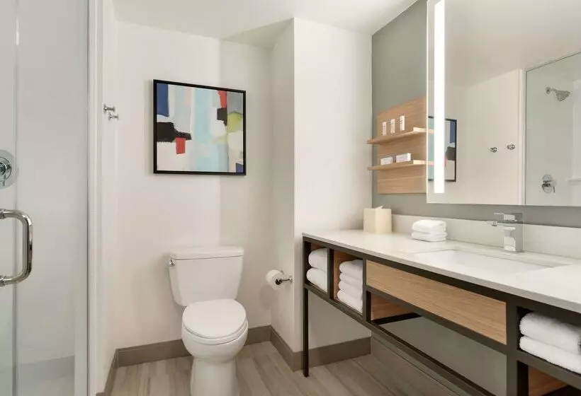 בית מלון כפרי Hilton Garden Inn Tysons Corner