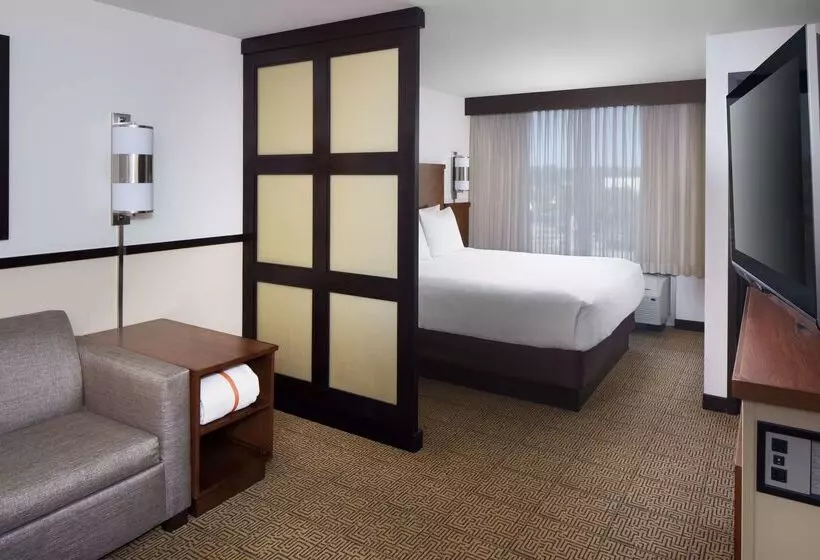 هتل Hyatt Place Phoenix/mesa