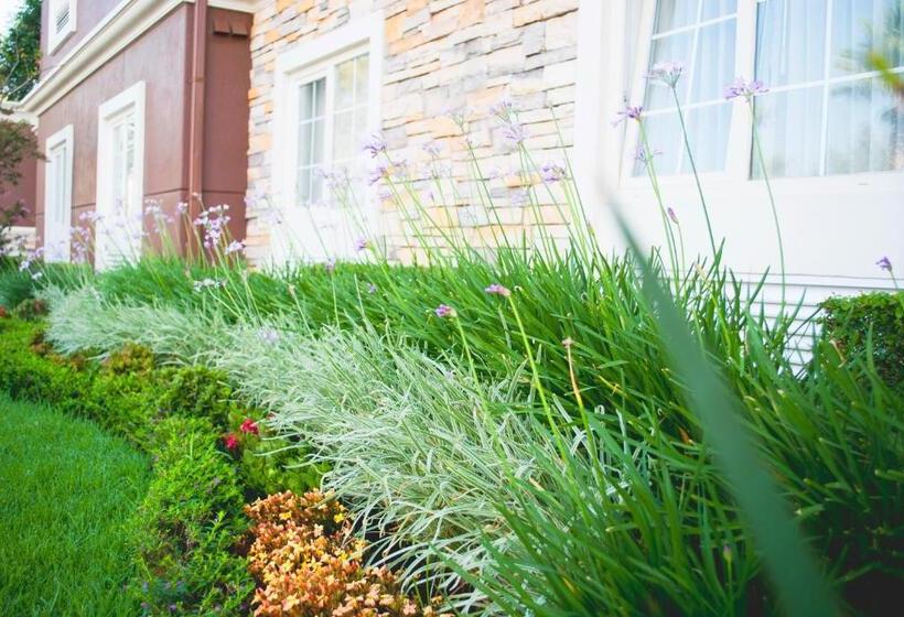 ホテル Intercity Zapopan