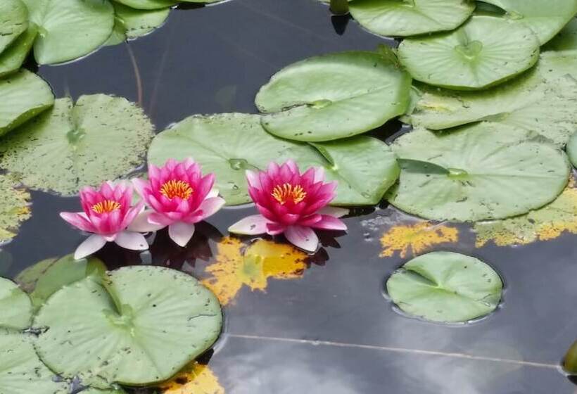 Kimpton Vero Beach Hotel & Spa, An Ihg