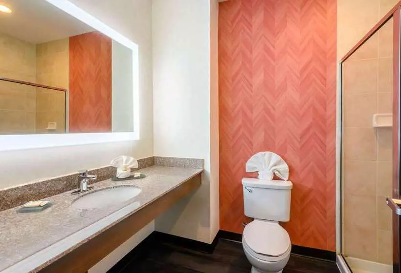 Отель La Quinta Inn & Suites By Wyndham Longview North