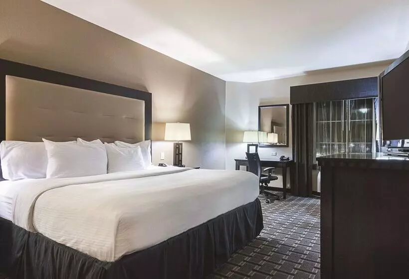 Hotelli La Quinta By Wyndham Mt. Pleasant