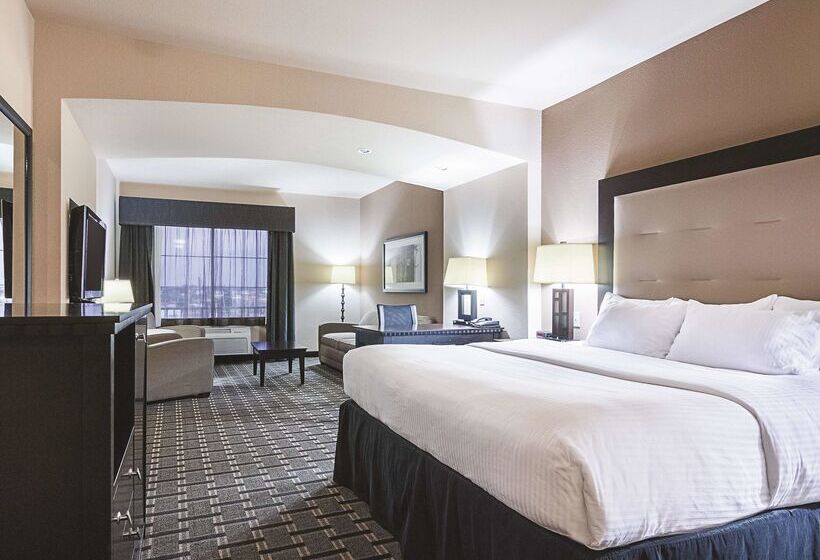 בית מלון כפרי La Quinta By Wyndham Mt. Pleasant